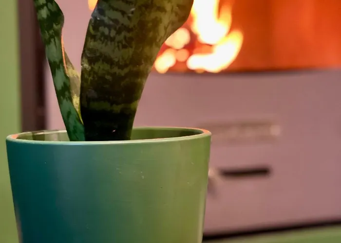 Theoni Luxury 칼라브리타